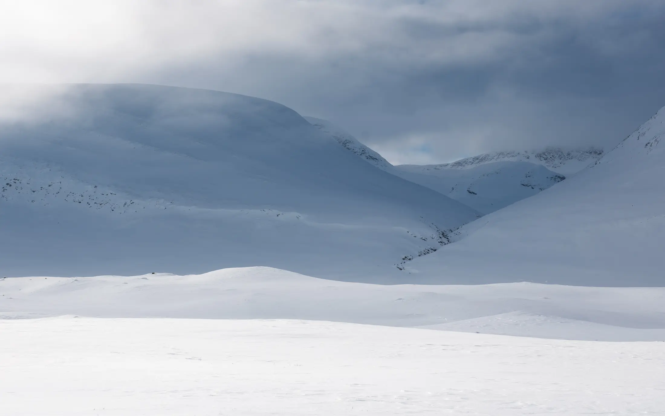 Vast stretch of treeless snowy tundra